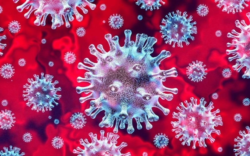 Preguntas y respuestas sobre la enfermedad por coronavirus (COVID-19)