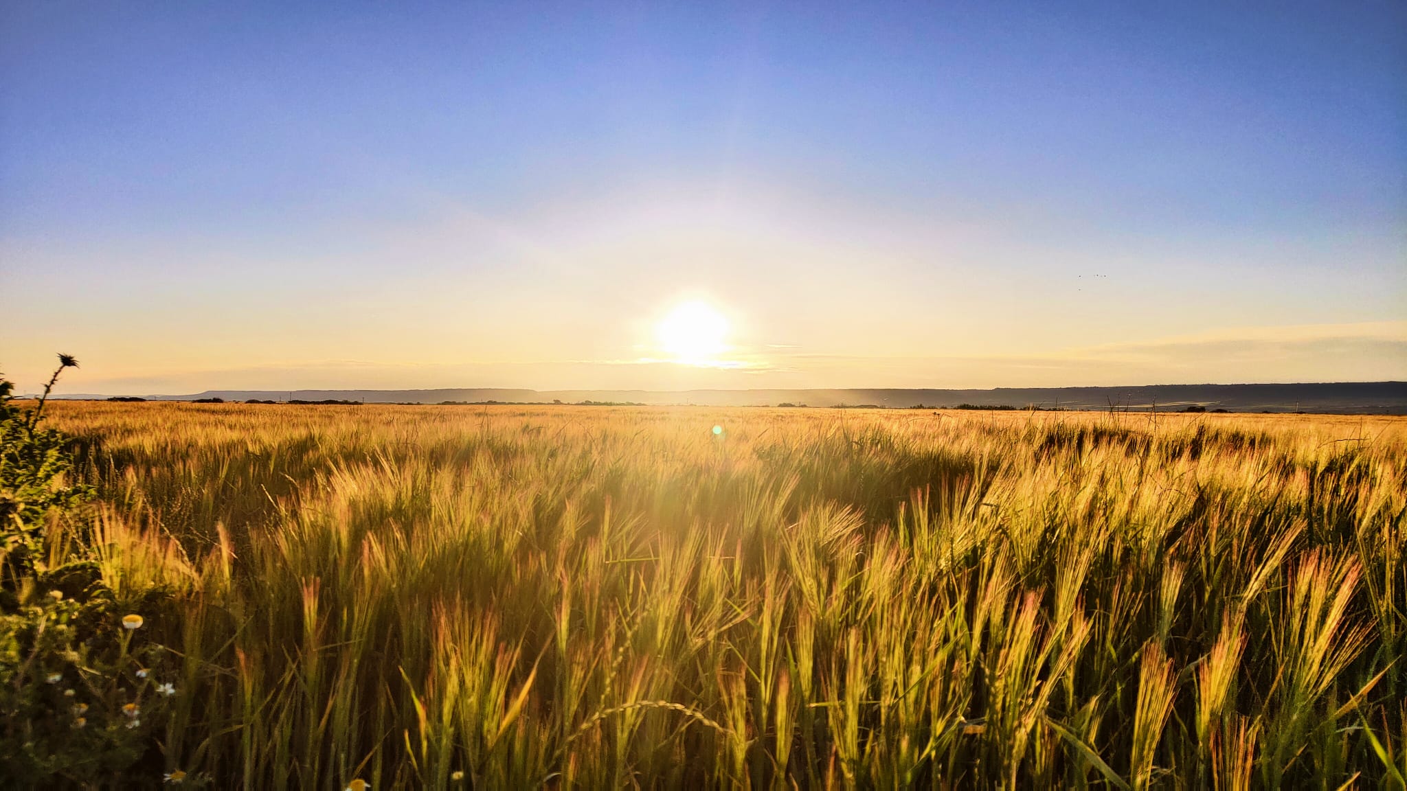 PRIMER BRILLO JUNIO PRIMER PREMIO