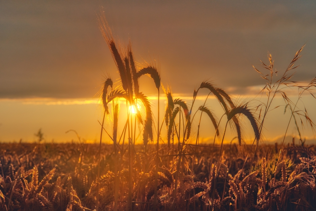 Últimos días para participar en el Concurso de Fotografía 2025 del Ayuntamiento de Quer