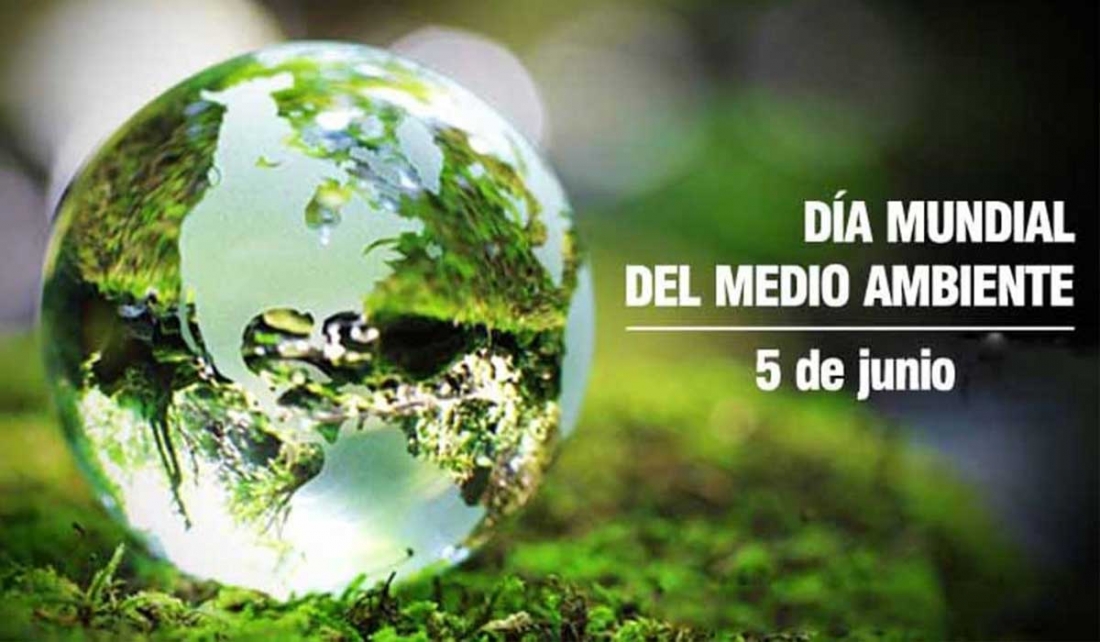 Día Internacional del Medioambiente