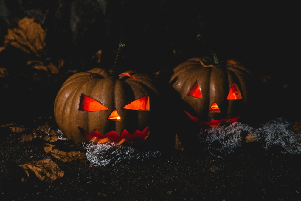 Quer volverá a celebrar una Fiesta de Halloween llena de emoción y sorpresas para todos los públicos