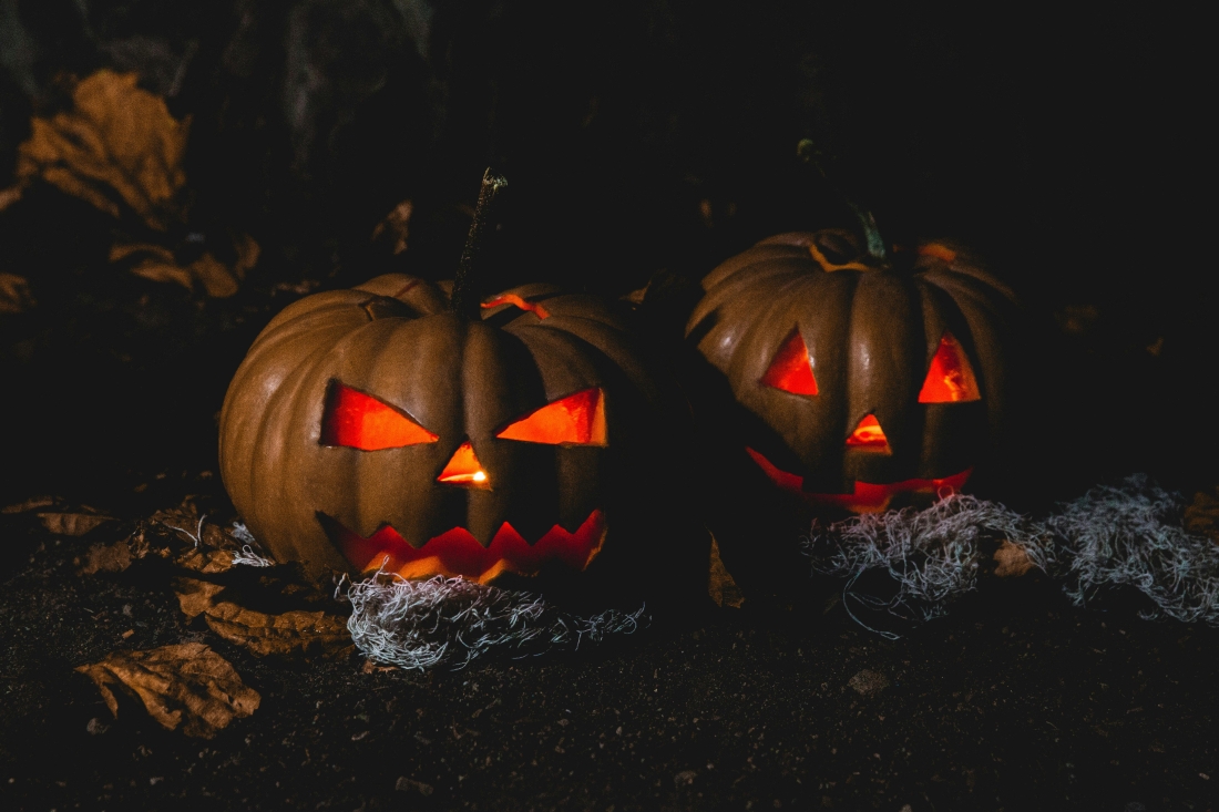 Quer volverá a celebrar una Fiesta de Halloween llena de emoción y sorpresas para todos los públicos