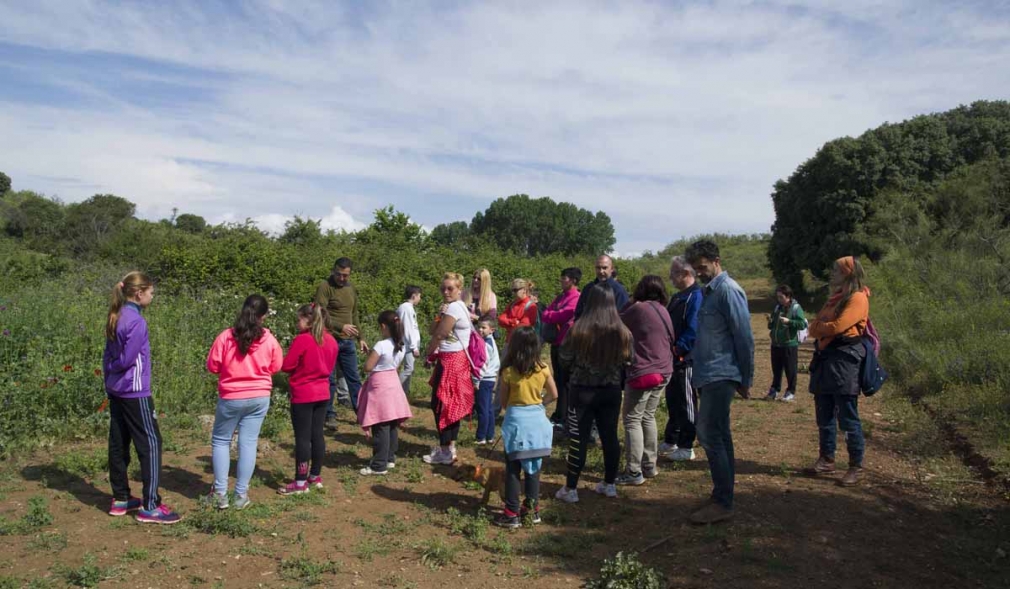 Proyecto de instalación de un observatorio de aves necrófagas